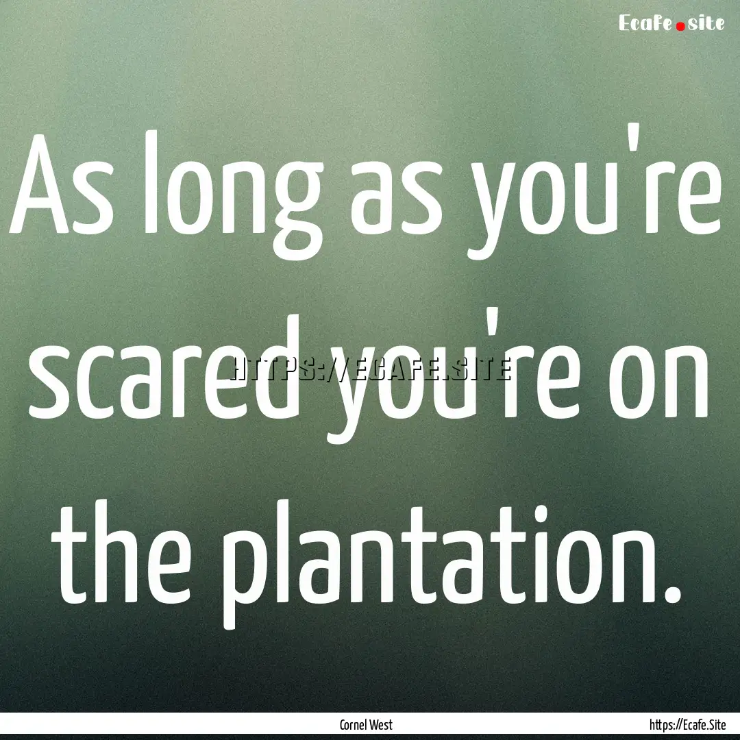 As long as you're scared you're on the plantation..... : Quote by Cornel West