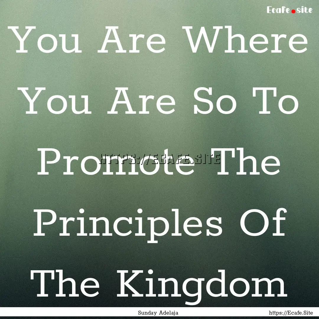 You Are Where You Are So To Promote The Principles.... : Quote by Sunday Adelaja