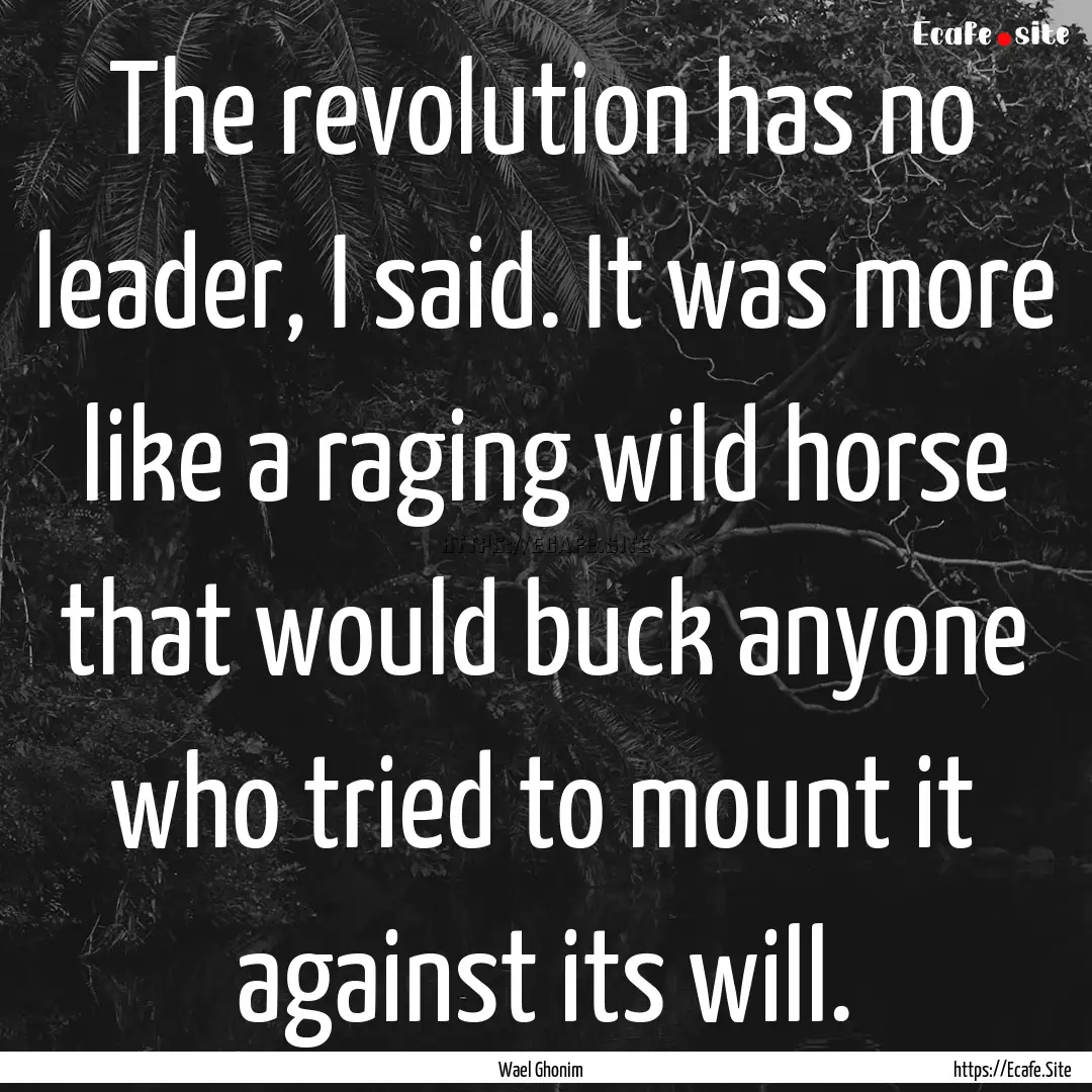 The revolution has no leader, I said. It.... : Quote by Wael Ghonim