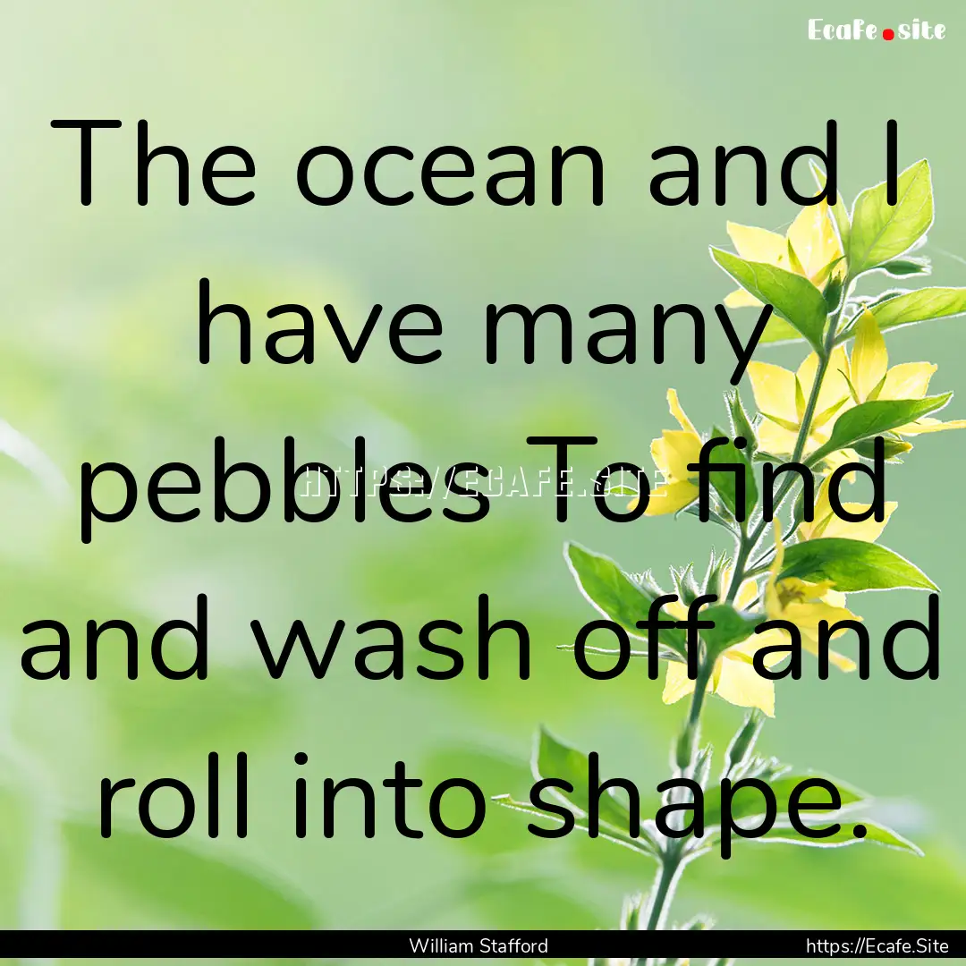 The ocean and I have many pebbles To find.... : Quote by William Stafford