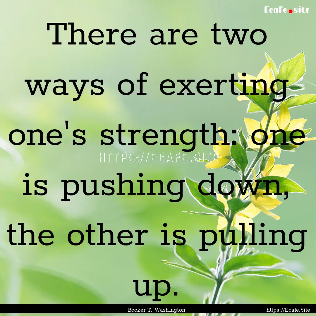 There are two ways of exerting one's strength:.... : Quote by Booker T. Washington