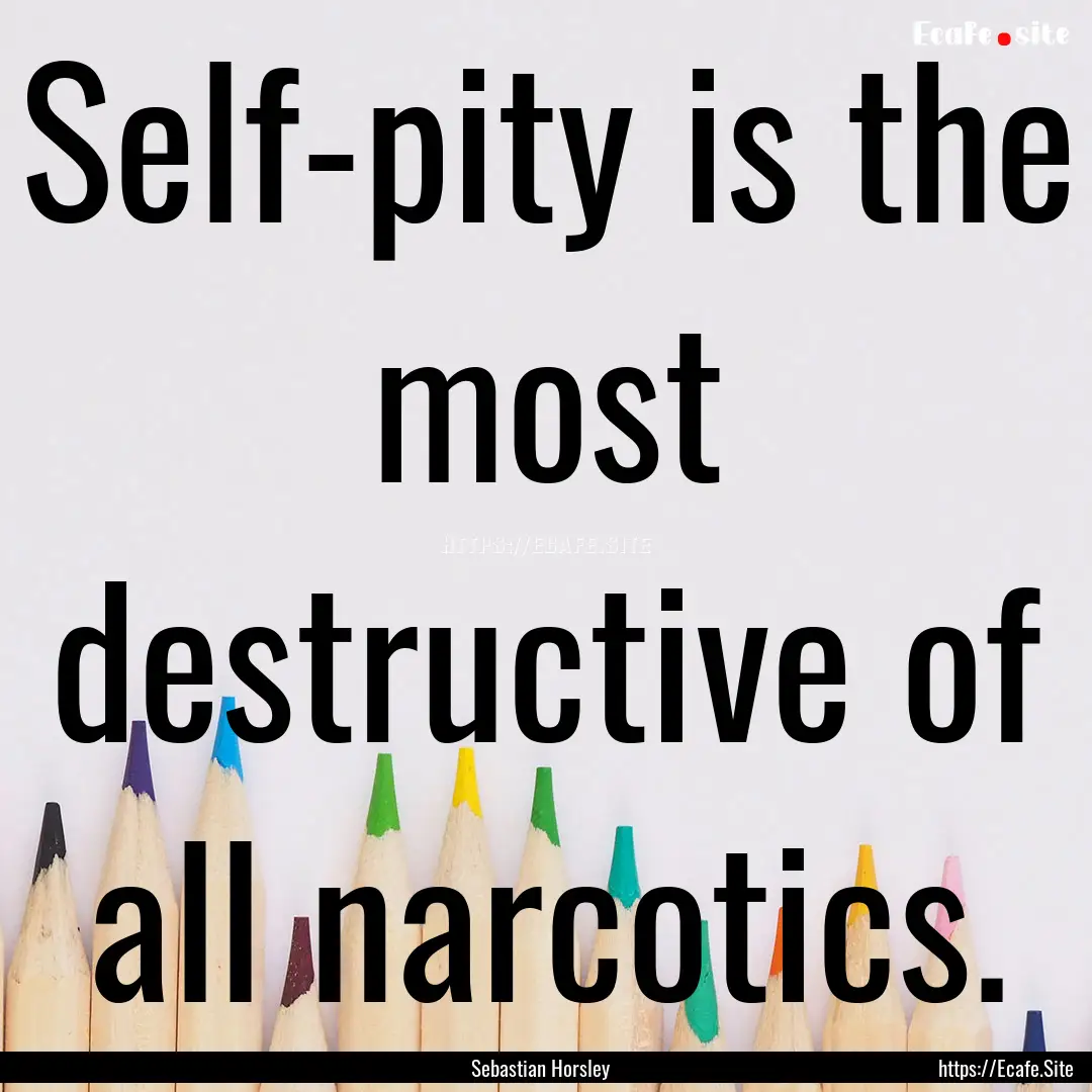 Self-pity is the most destructive of all.... : Quote by Sebastian Horsley