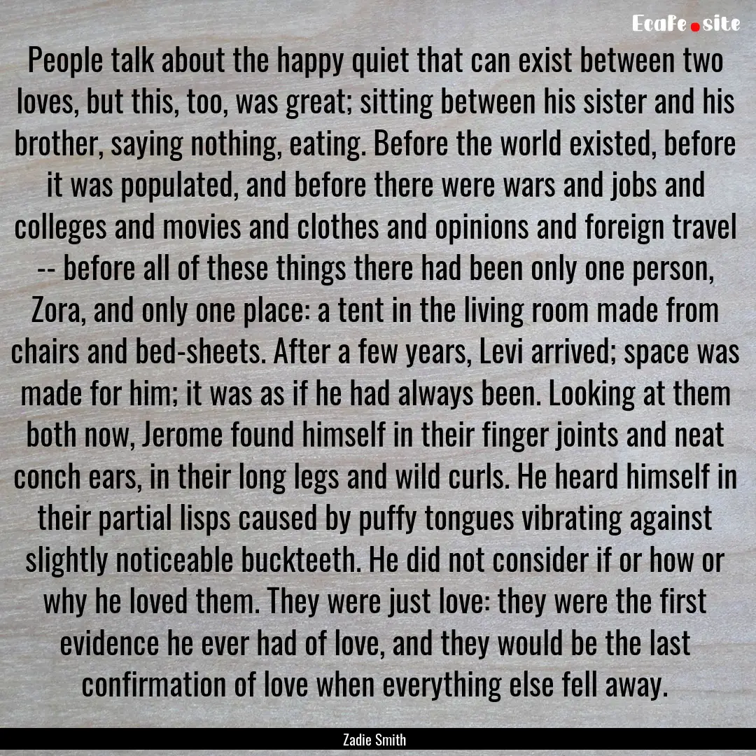 People talk about the happy quiet that can.... : Quote by Zadie Smith