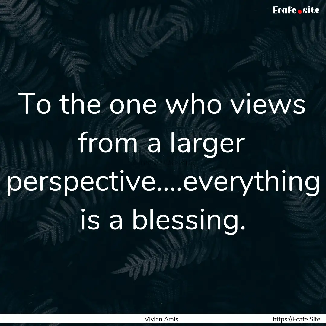 To the one who views from a larger perspective....everything.... : Quote by Vivian Amis