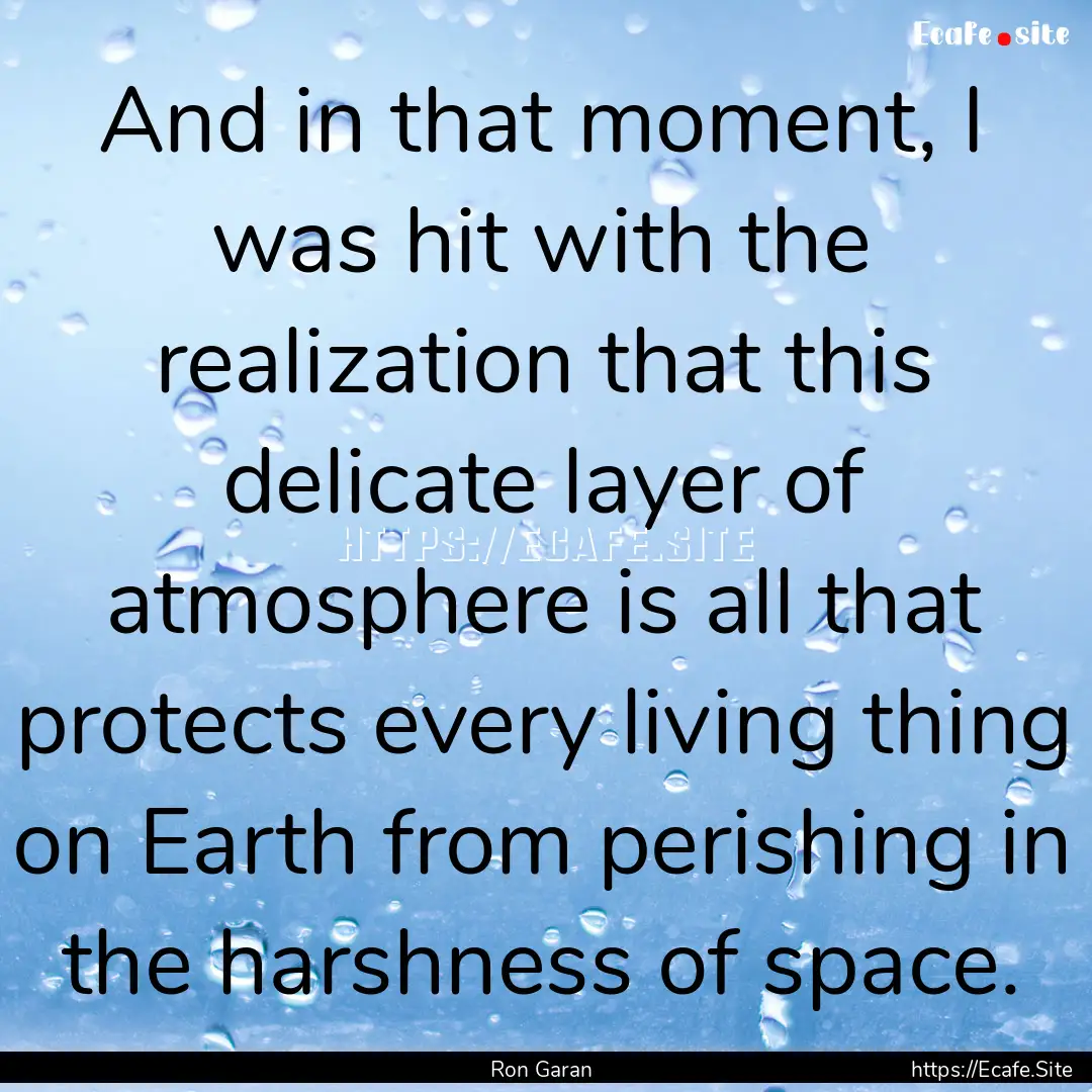 And in that moment, I was hit with the realization.... : Quote by Ron Garan