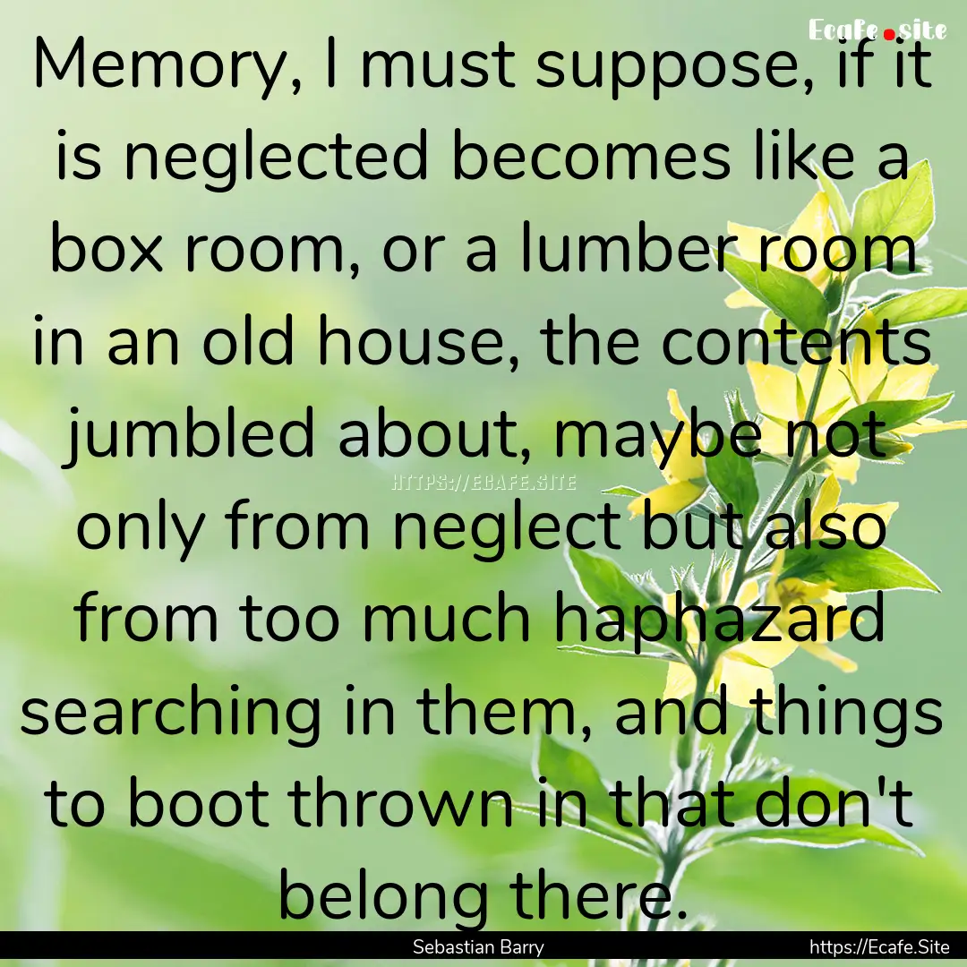 Memory, I must suppose, if it is neglected.... : Quote by Sebastian Barry