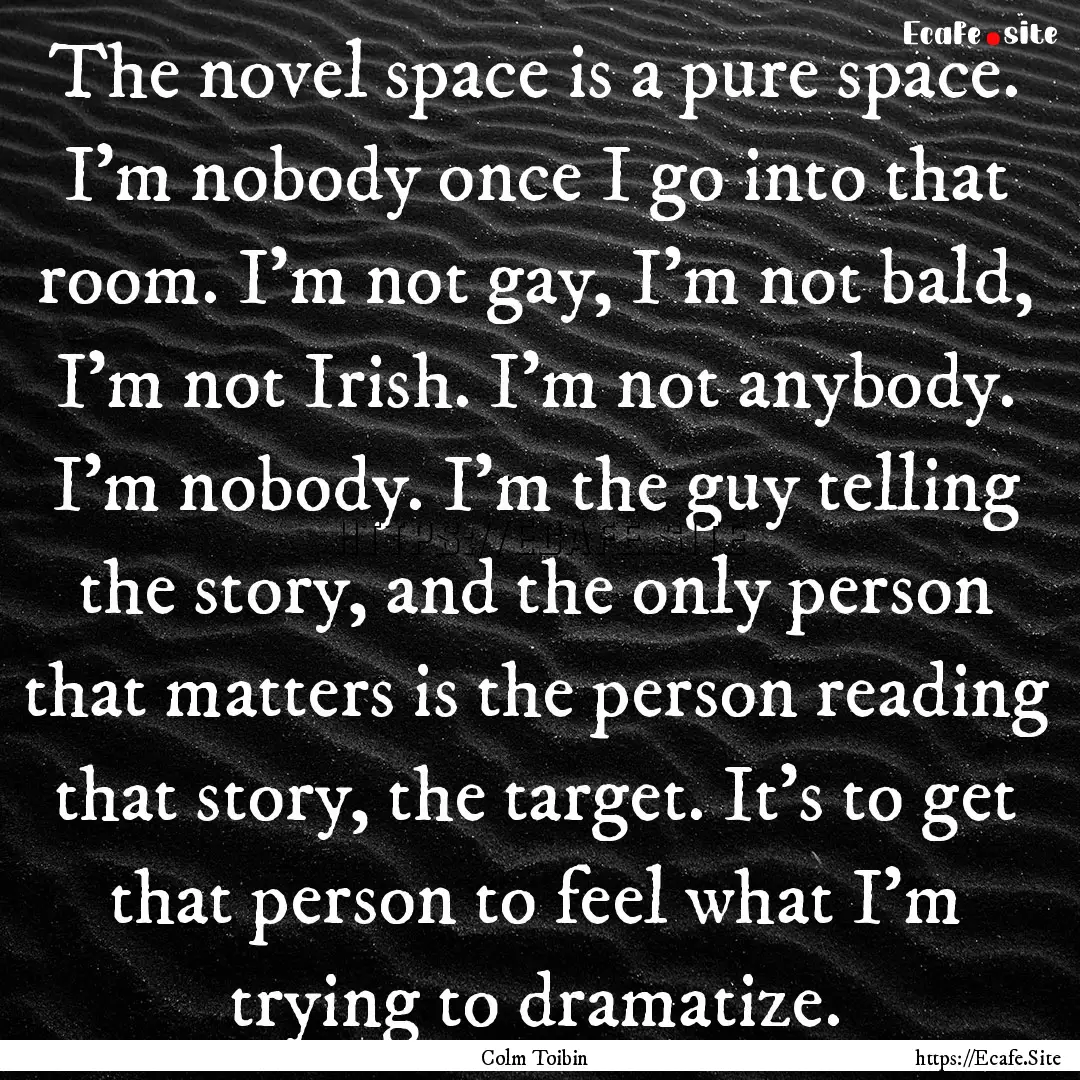 The novel space is a pure space. I'm nobody.... : Quote by Colm Toibin