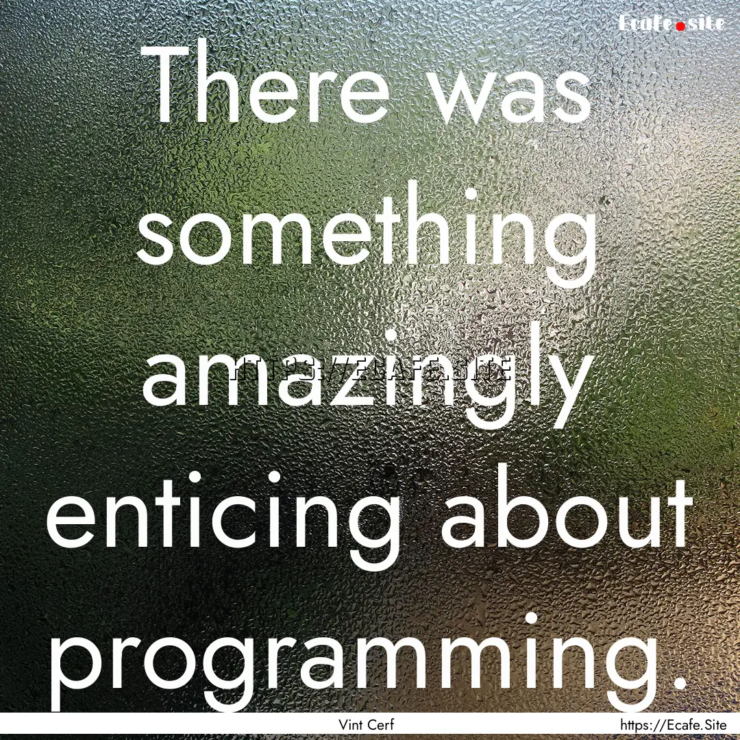 There was something amazingly enticing about.... : Quote by Vint Cerf