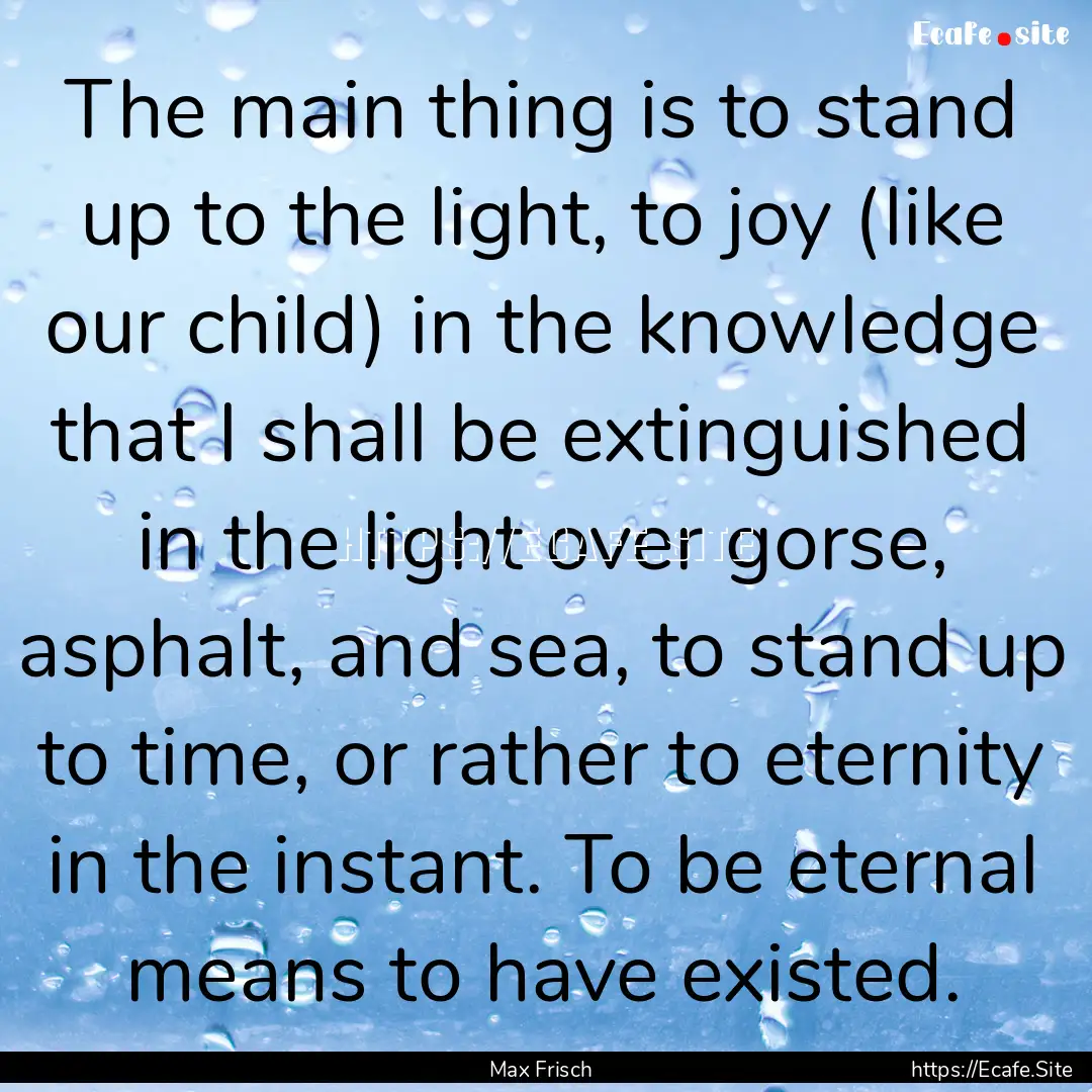 The main thing is to stand up to the light,.... : Quote by Max Frisch