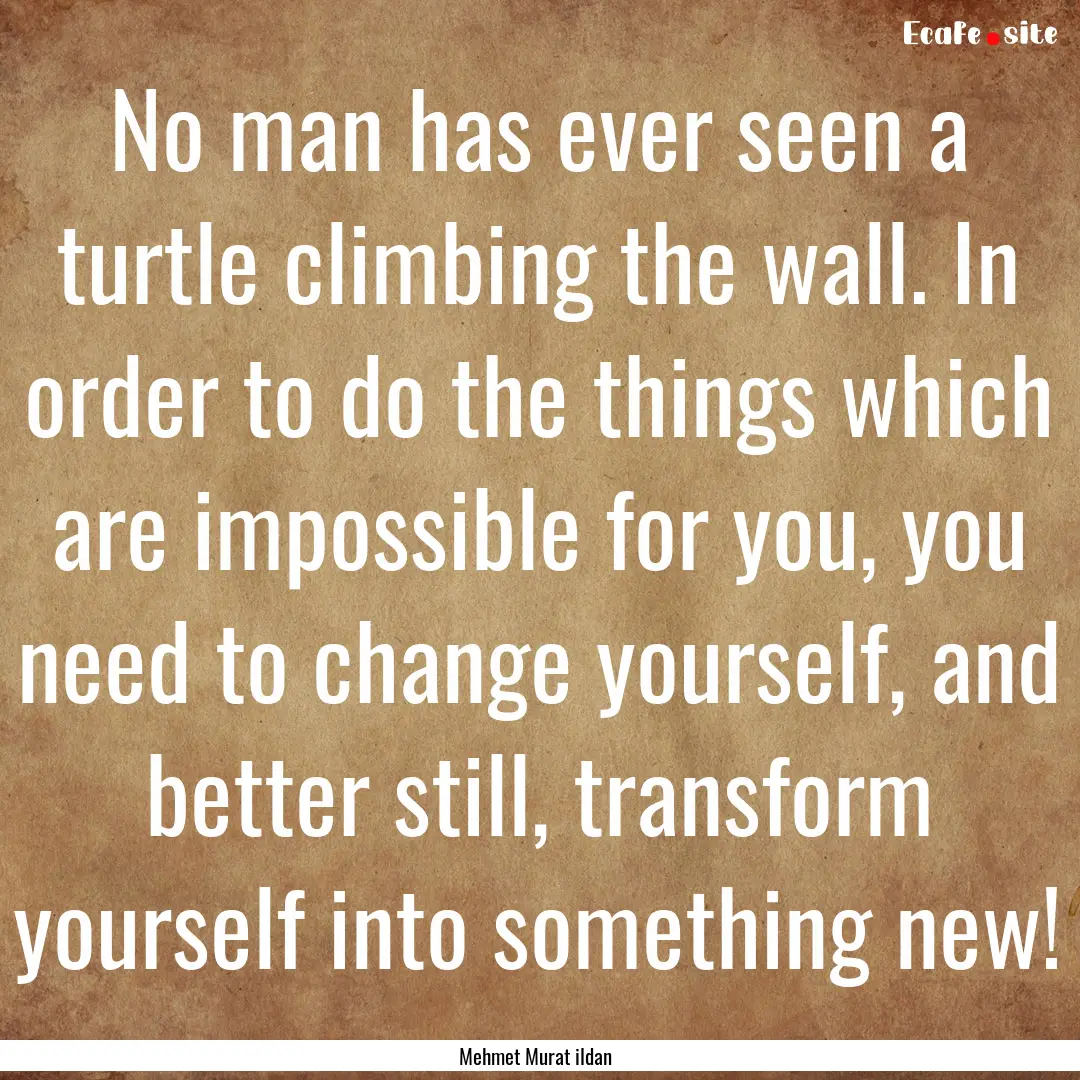 No man has ever seen a turtle climbing the.... : Quote by Mehmet Murat ildan