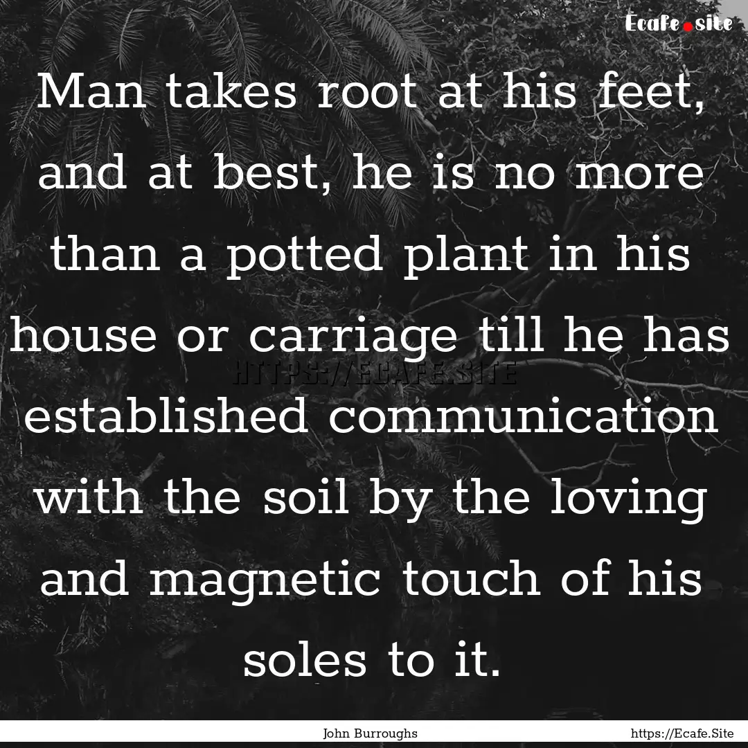 Man takes root at his feet, and at best,.... : Quote by John Burroughs