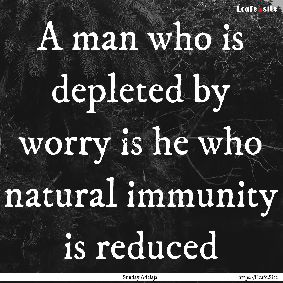 A man who is depleted by worry is he who.... : Quote by Sunday Adelaja