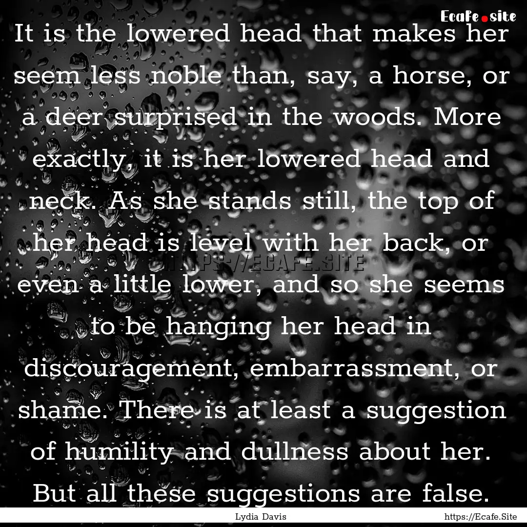 It is the lowered head that makes her seem.... : Quote by Lydia Davis