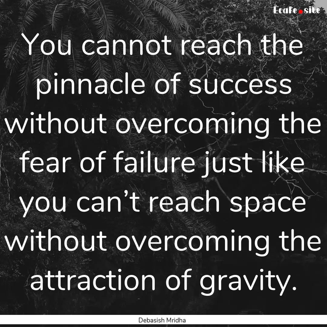 You cannot reach the pinnacle of success.... : Quote by Debasish Mridha