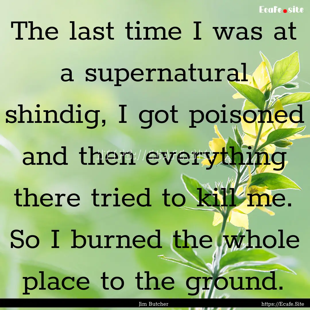 The last time I was at a supernatural shindig,.... : Quote by Jim Butcher