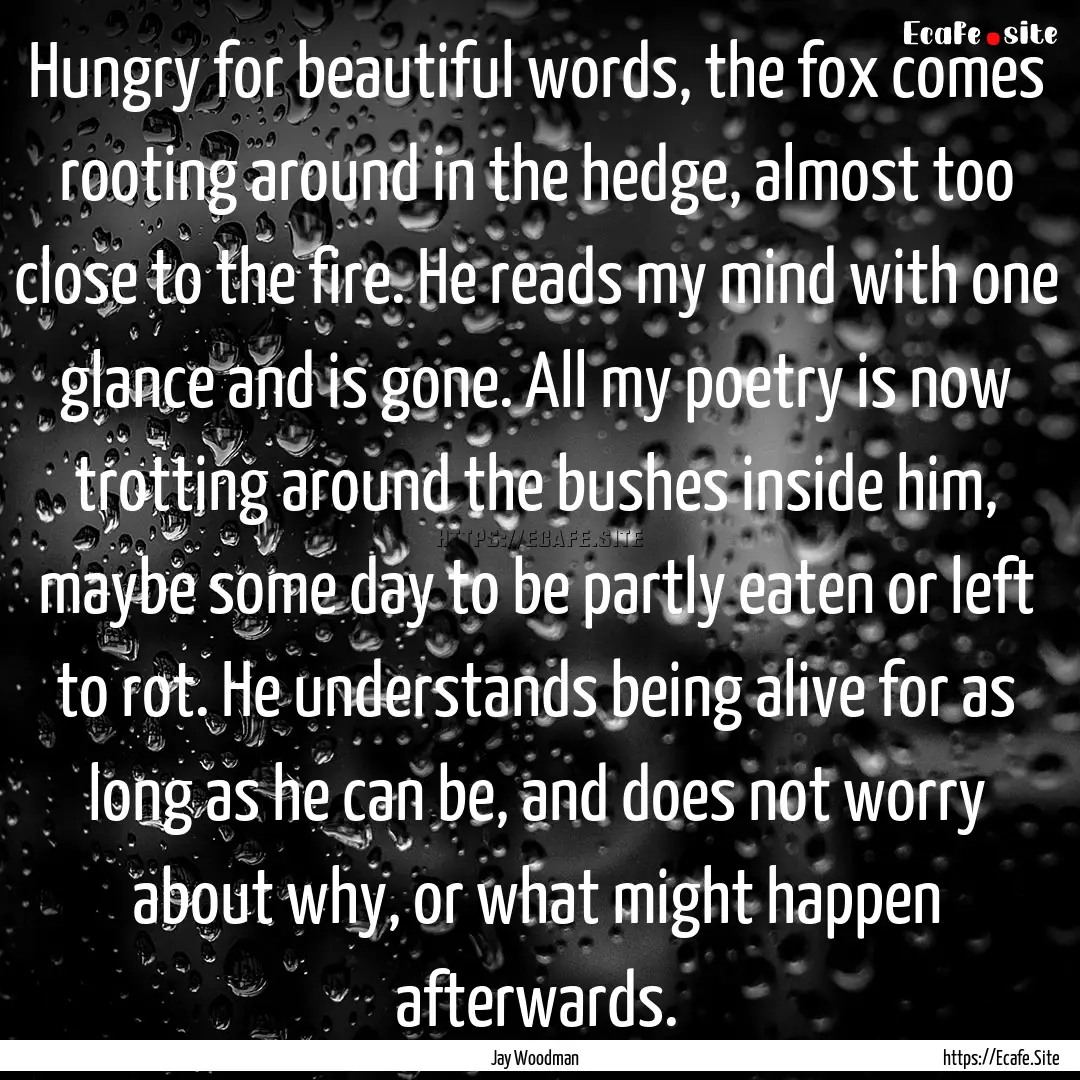 Hungry for beautiful words, the fox comes.... : Quote by Jay Woodman