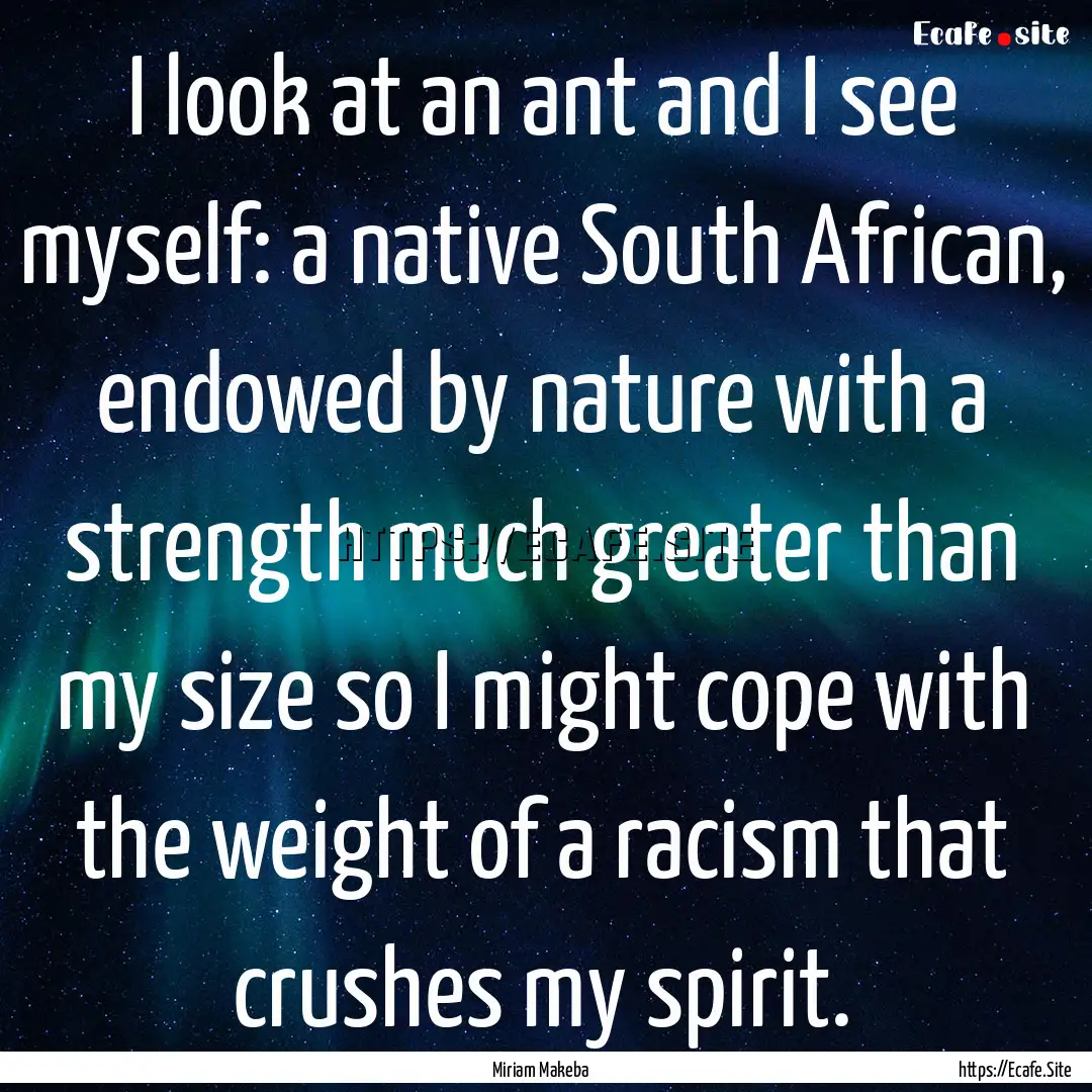 I look at an ant and I see myself: a native.... : Quote by Miriam Makeba