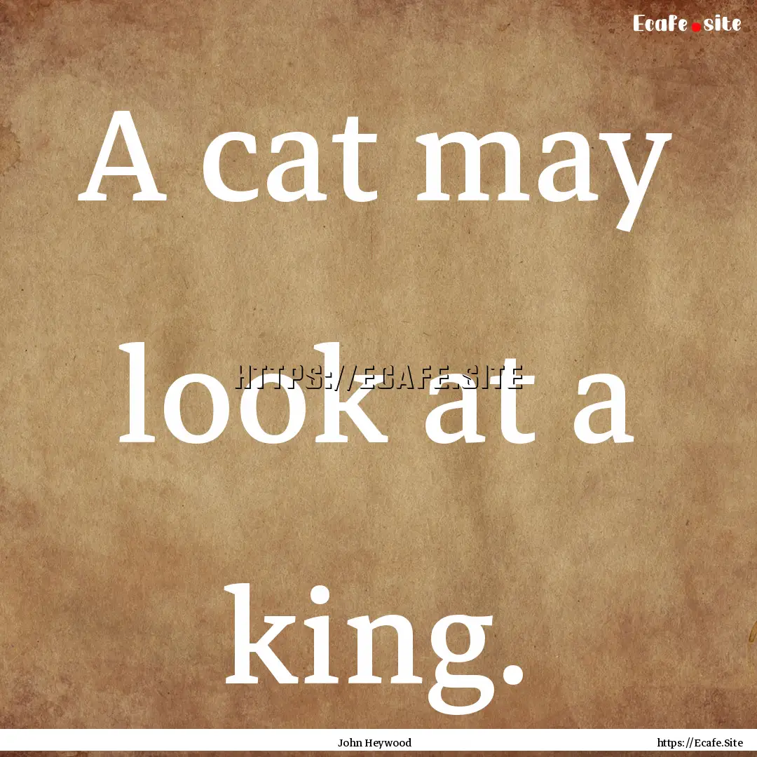 A cat may look at a king. : Quote by John Heywood