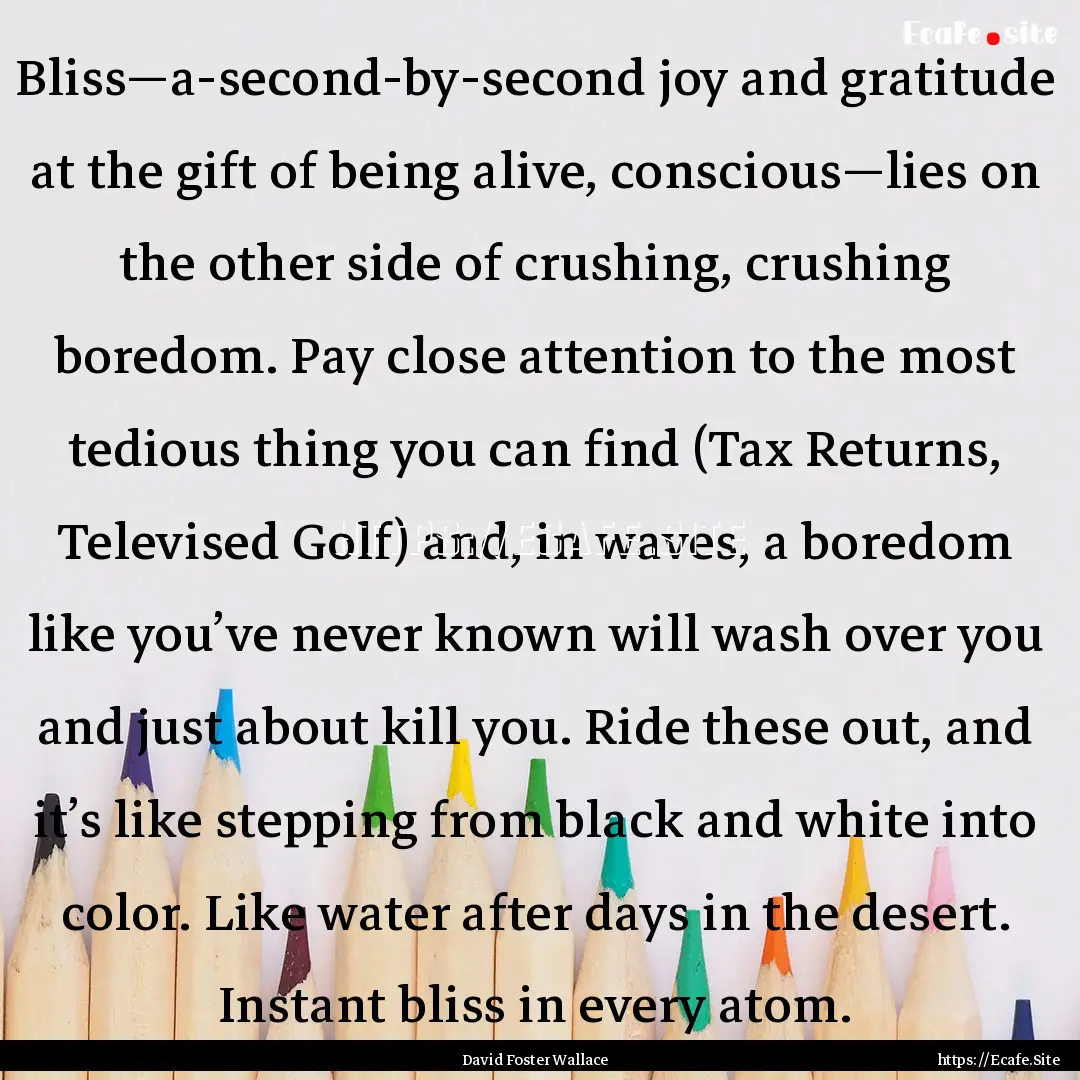 Bliss—a-second-by-second joy and gratitude.... : Quote by David Foster Wallace