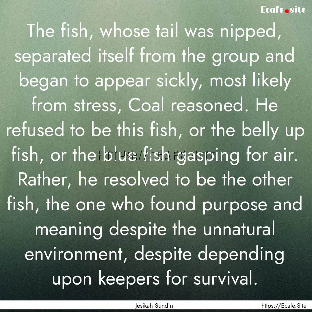 The fish, whose tail was nipped, separated.... : Quote by Jesikah Sundin