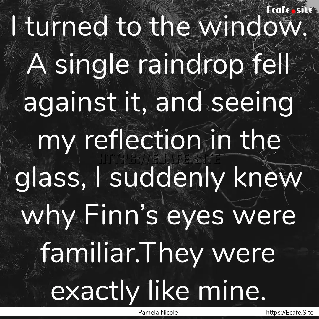 I turned to the window. A single raindrop.... : Quote by Pamela Nicole