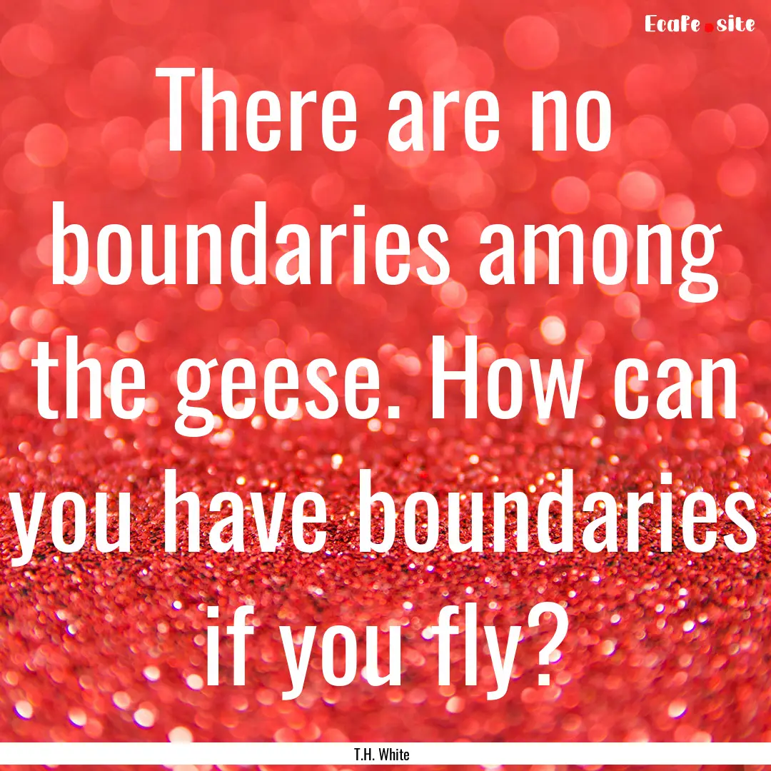 There are no boundaries among the geese..... : Quote by T.H. White