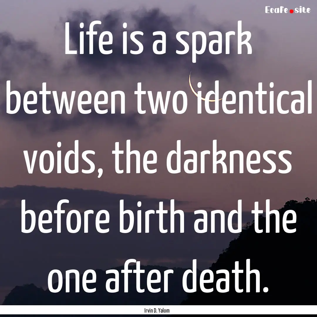 Life is a spark between two identical voids,.... : Quote by Irvin D. Yalom