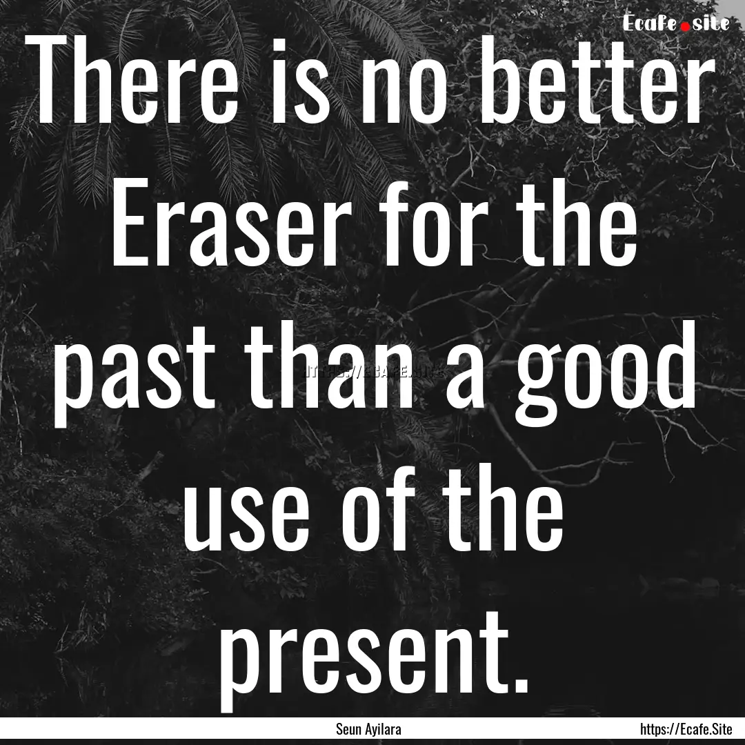 There is no better Eraser for the past than.... : Quote by Seun Ayilara