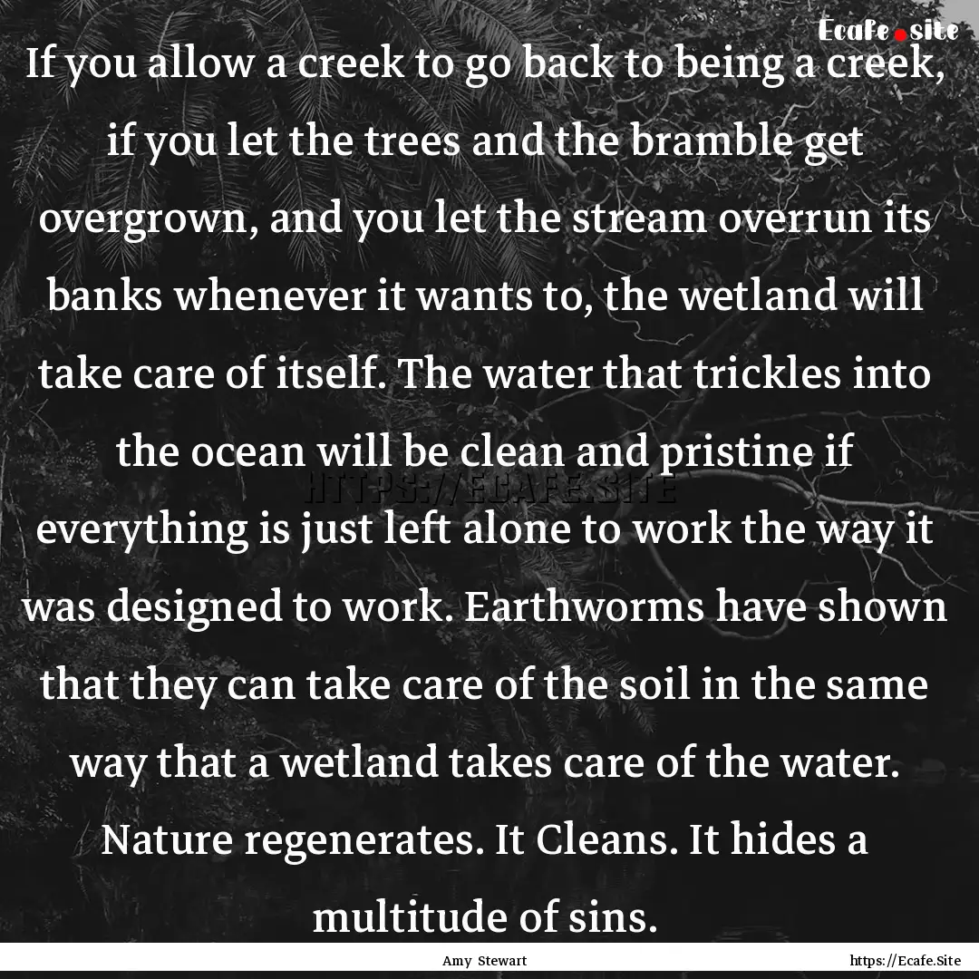 If you allow a creek to go back to being.... : Quote by Amy Stewart