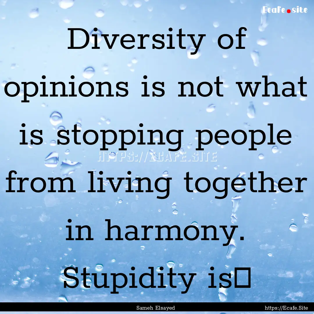 Diversity of opinions is not what is stopping.... : Quote by Sameh Elsayed