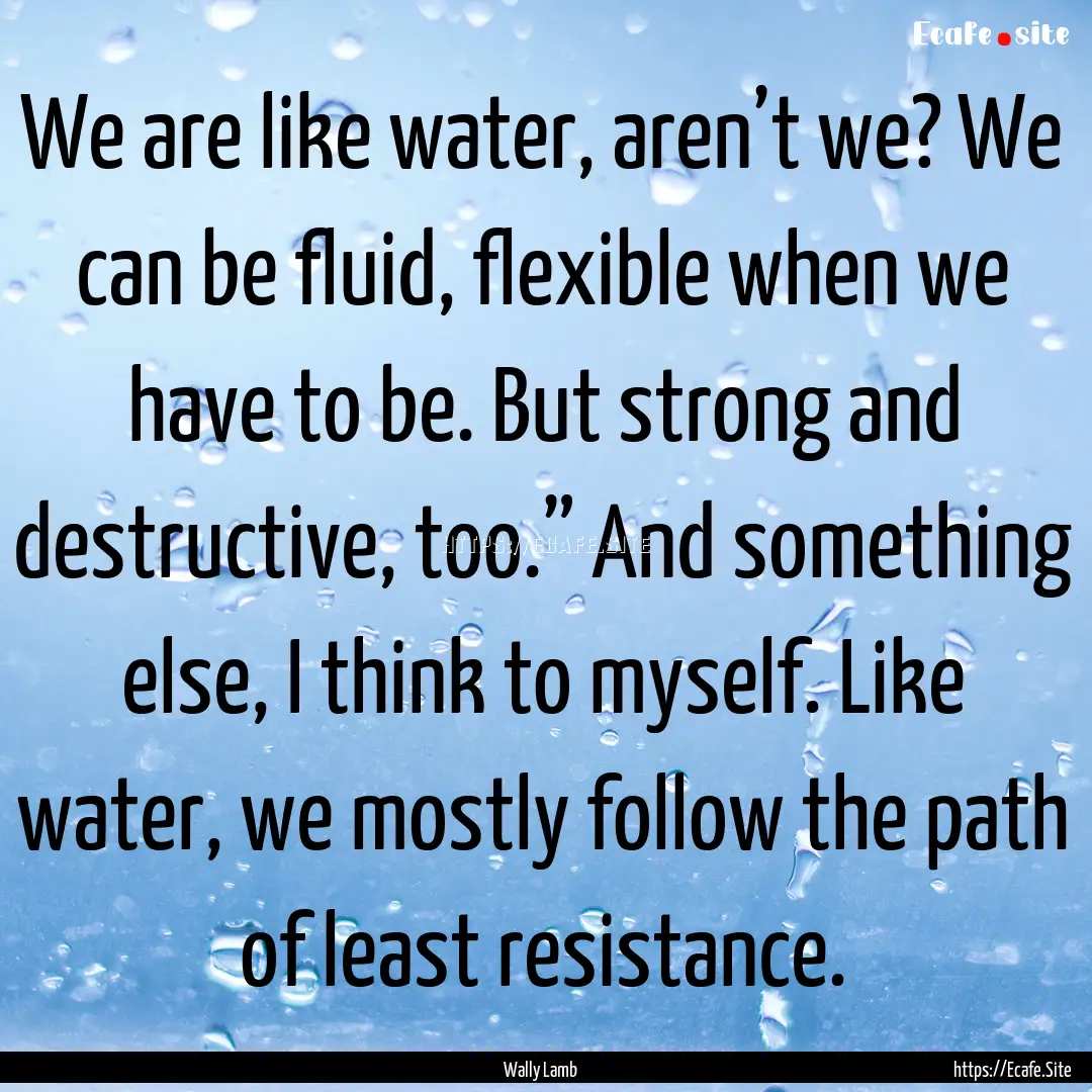 We are like water, aren’t we? We can be.... : Quote by Wally Lamb