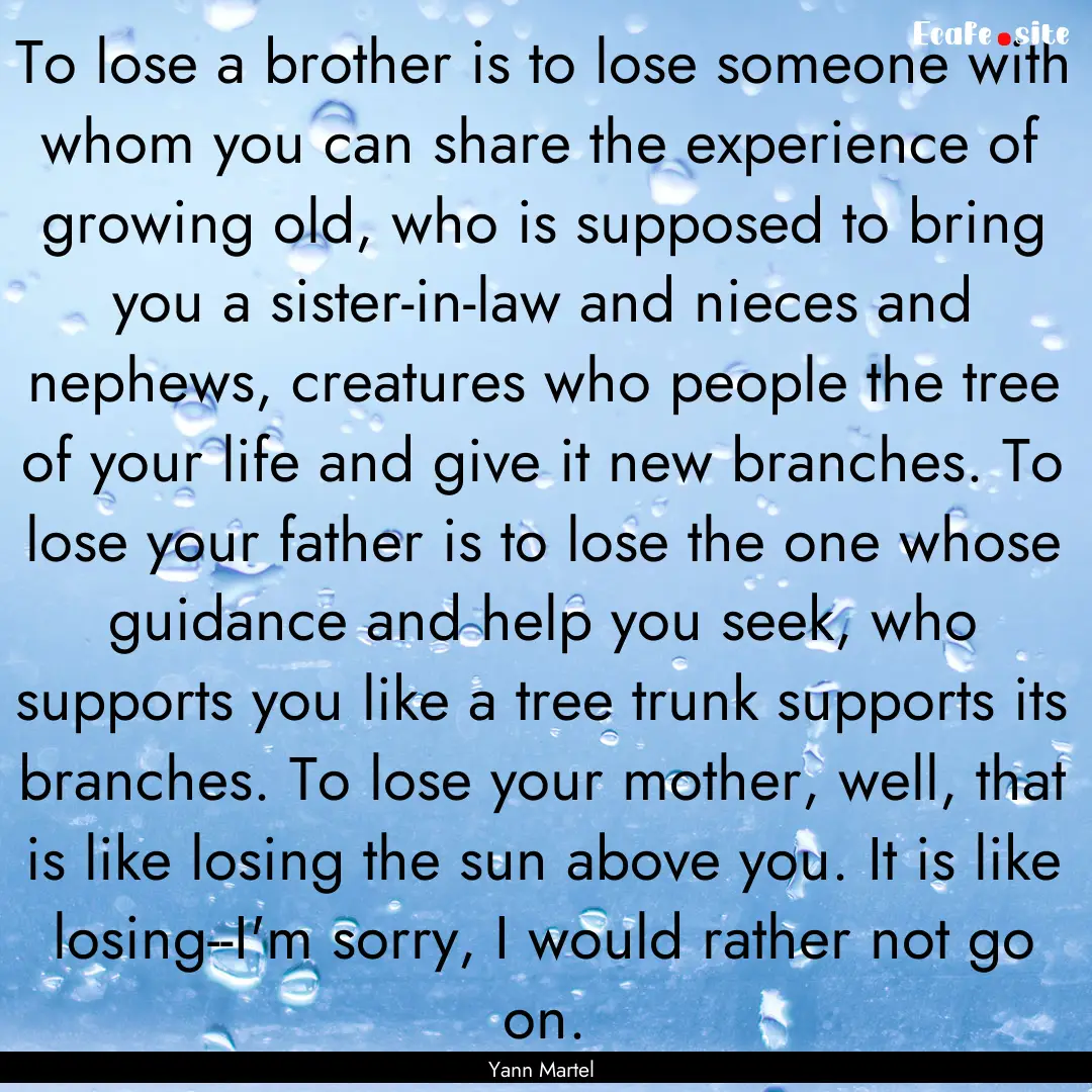 To lose a brother is to lose someone with.... : Quote by Yann Martel