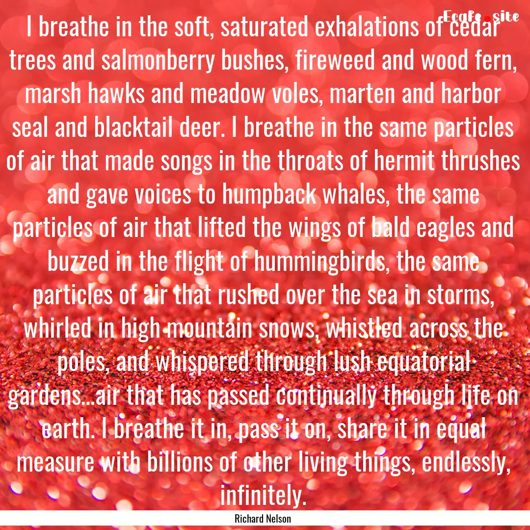 I breathe in the soft, saturated exhalations.... : Quote by Richard Nelson