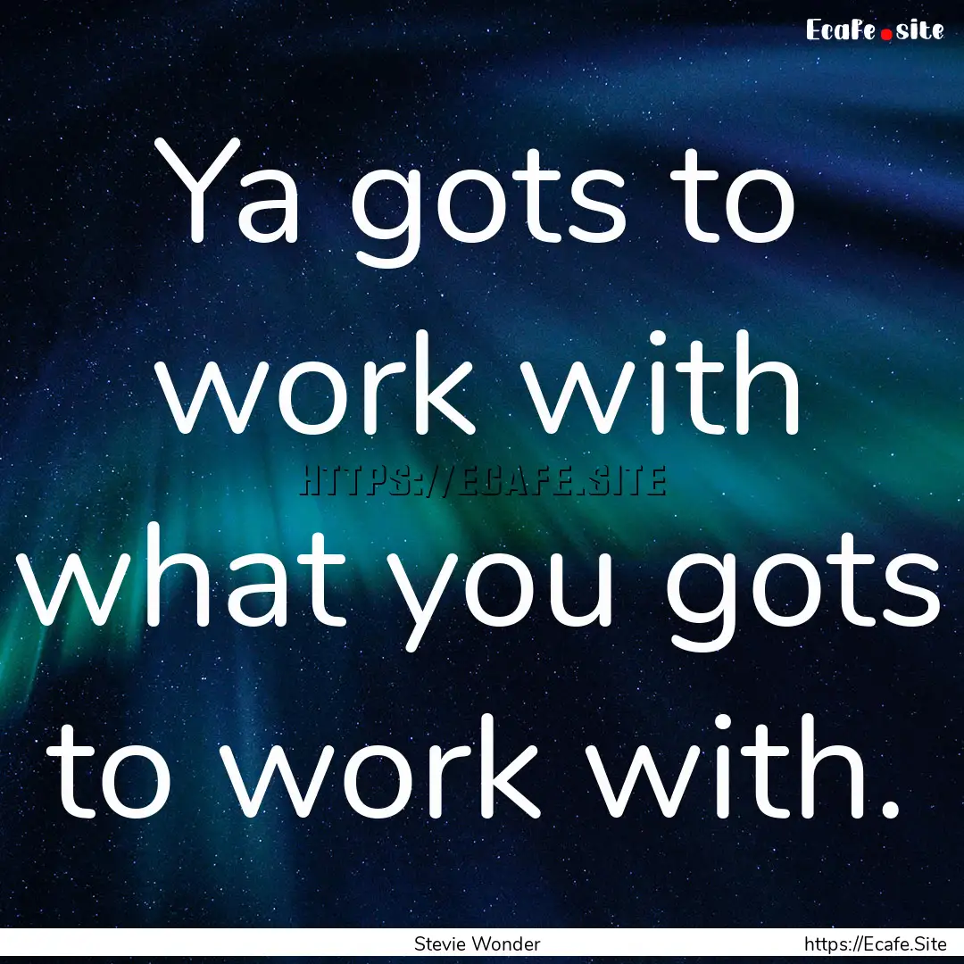 Ya gots to work with what you gots to work.... : Quote by Stevie Wonder