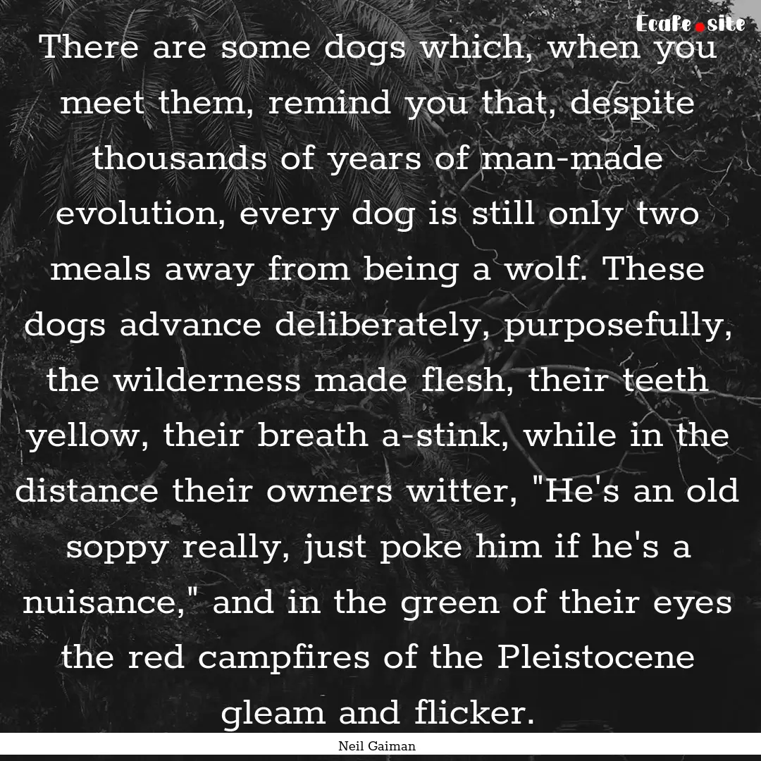 There are some dogs which, when you meet.... : Quote by Neil Gaiman