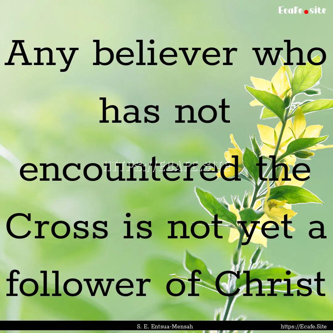 Any believer who has not encountered the.... : Quote by S. E. Entsua-Mensah