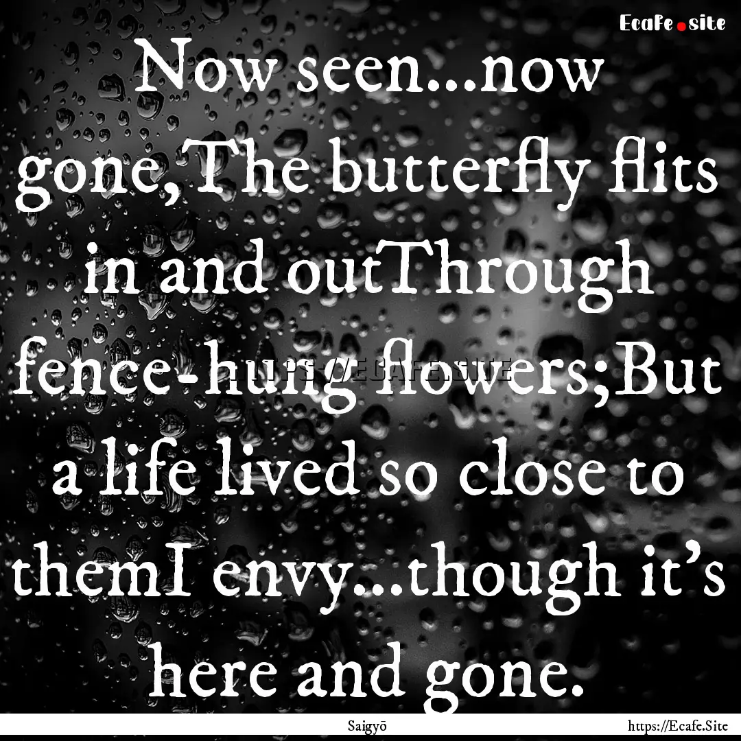 Now seen...now gone,The butterfly flits in.... : Quote by Saigyō