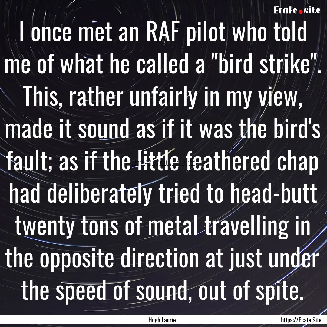 I once met an RAF pilot who told me of what.... : Quote by Hugh Laurie