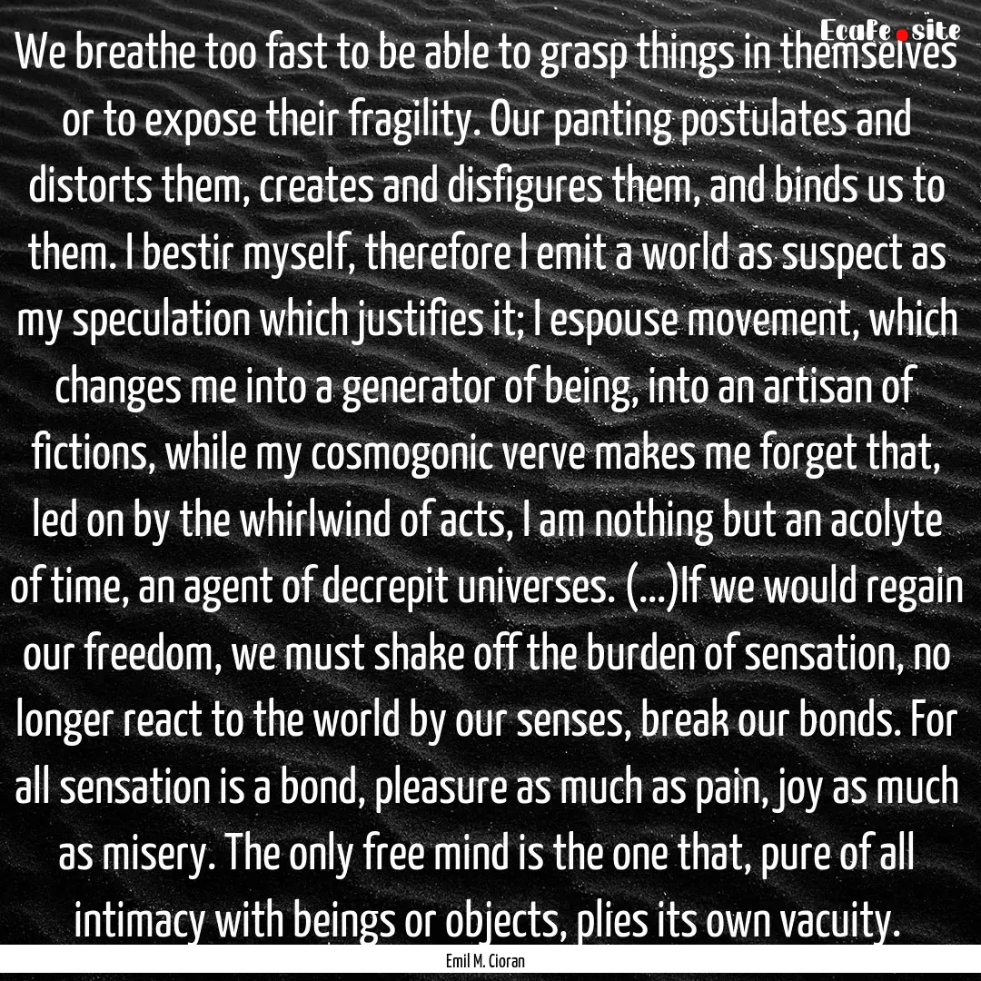 We breathe too fast to be able to grasp things.... : Quote by Emil M. Cioran