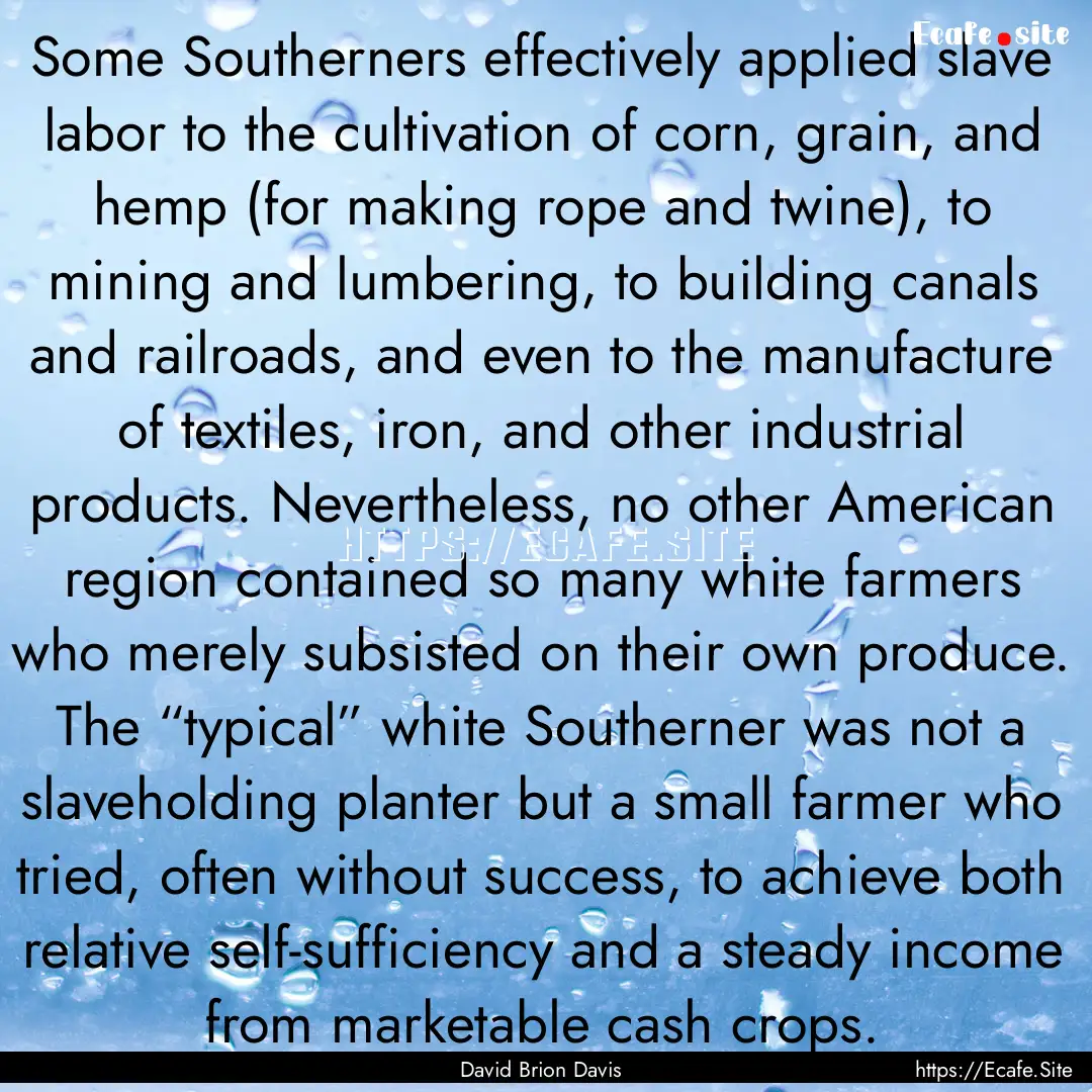 Some Southerners effectively applied slave.... : Quote by David Brion Davis