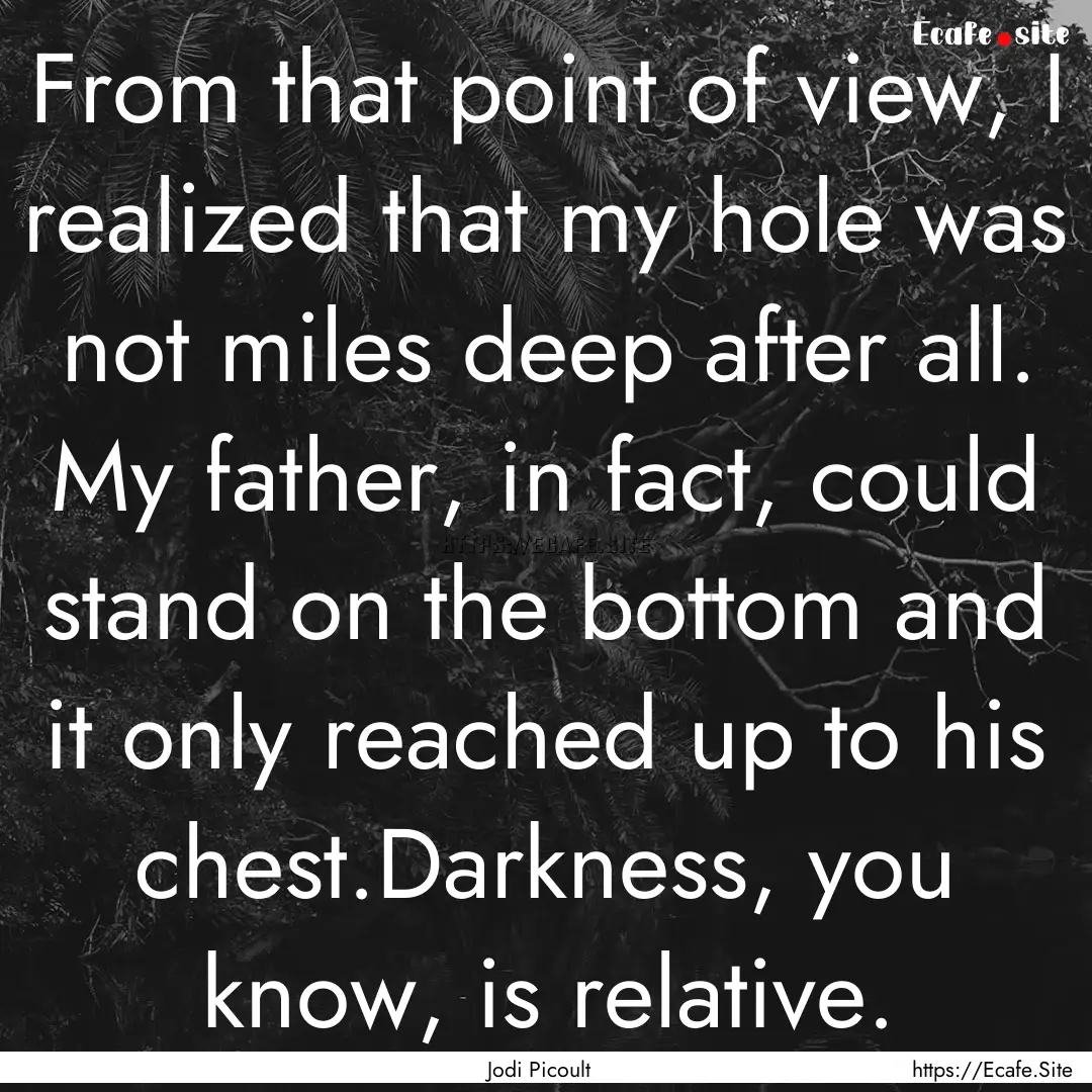 From that point of view, I realized that.... : Quote by Jodi Picoult