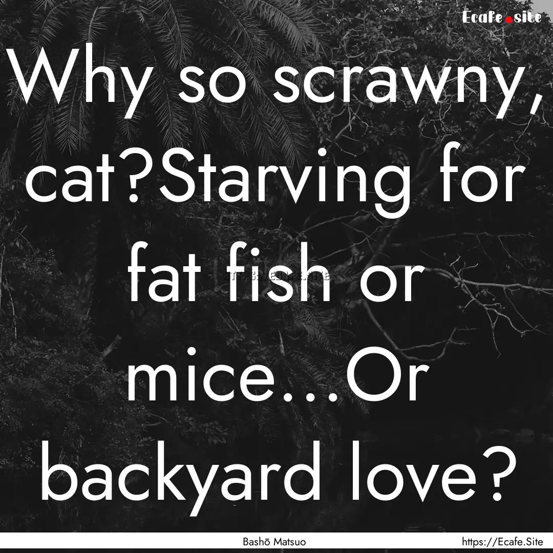 Why so scrawny, cat?Starving for fat fish.... : Quote by Bashō Matsuo