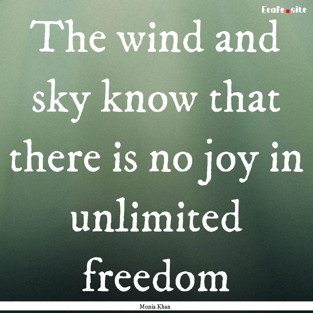 The wind and sky know that there is no joy.... : Quote by Munia Khan