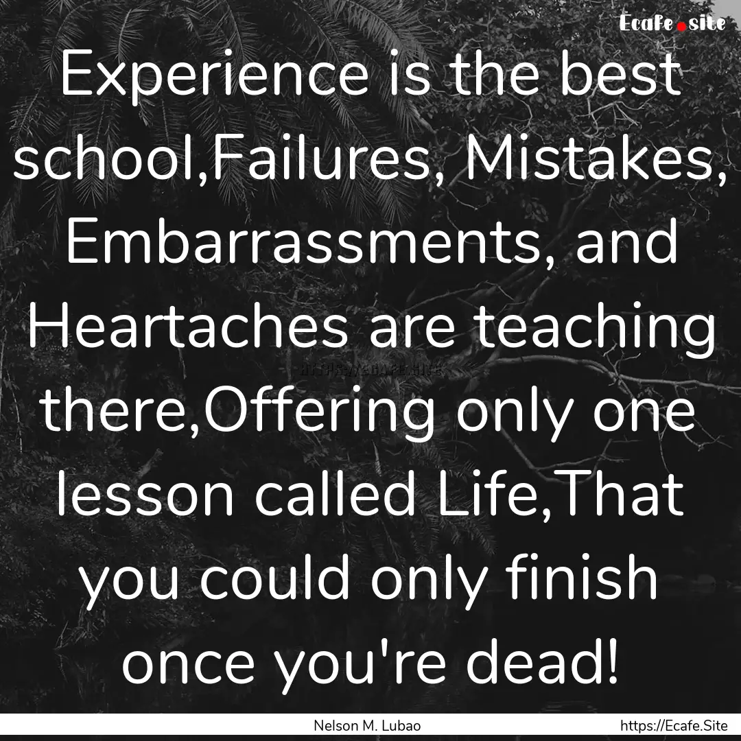 Experience is the best school,Failures, Mistakes,.... : Quote by Nelson M. Lubao