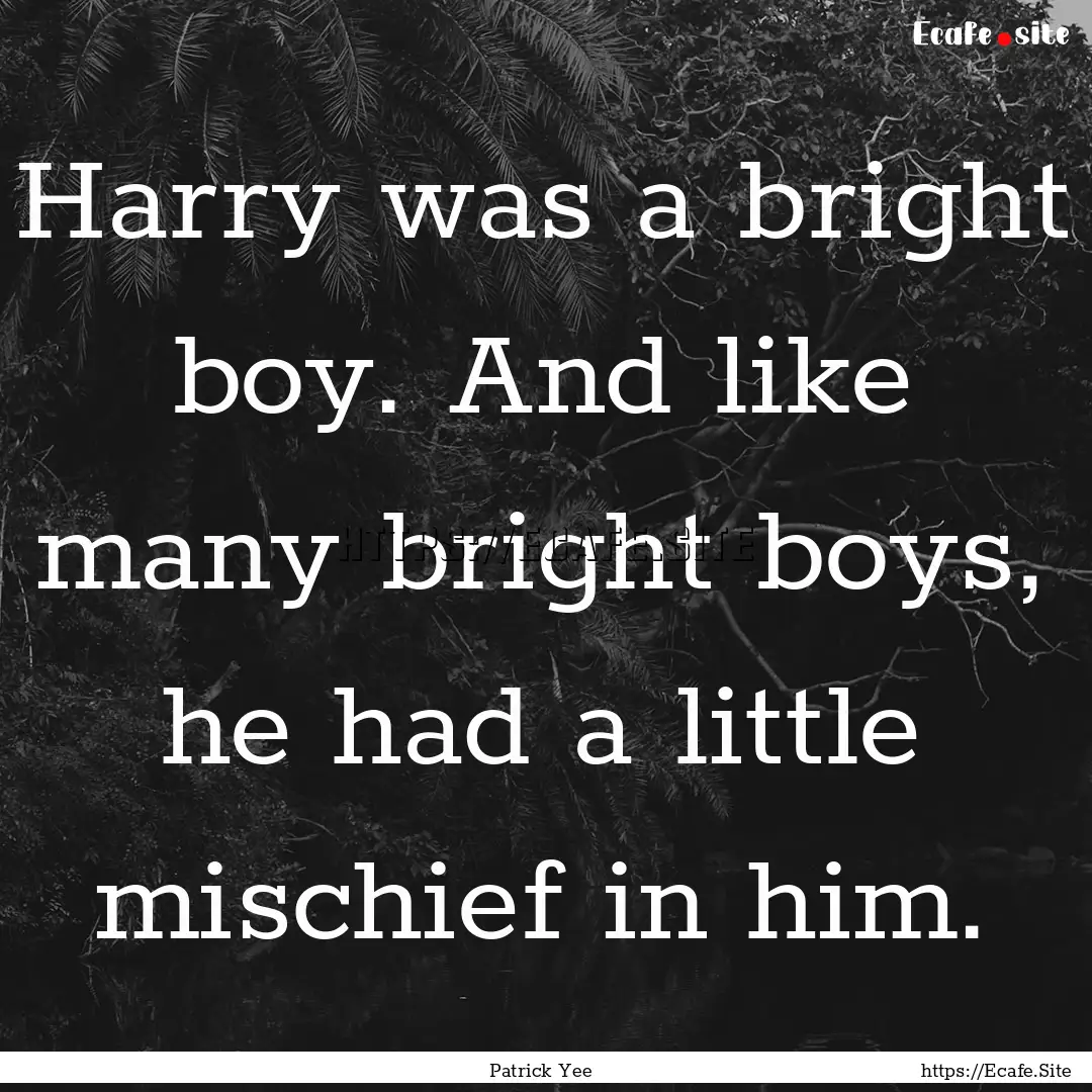 Harry was a bright boy. And like many bright.... : Quote by Patrick Yee