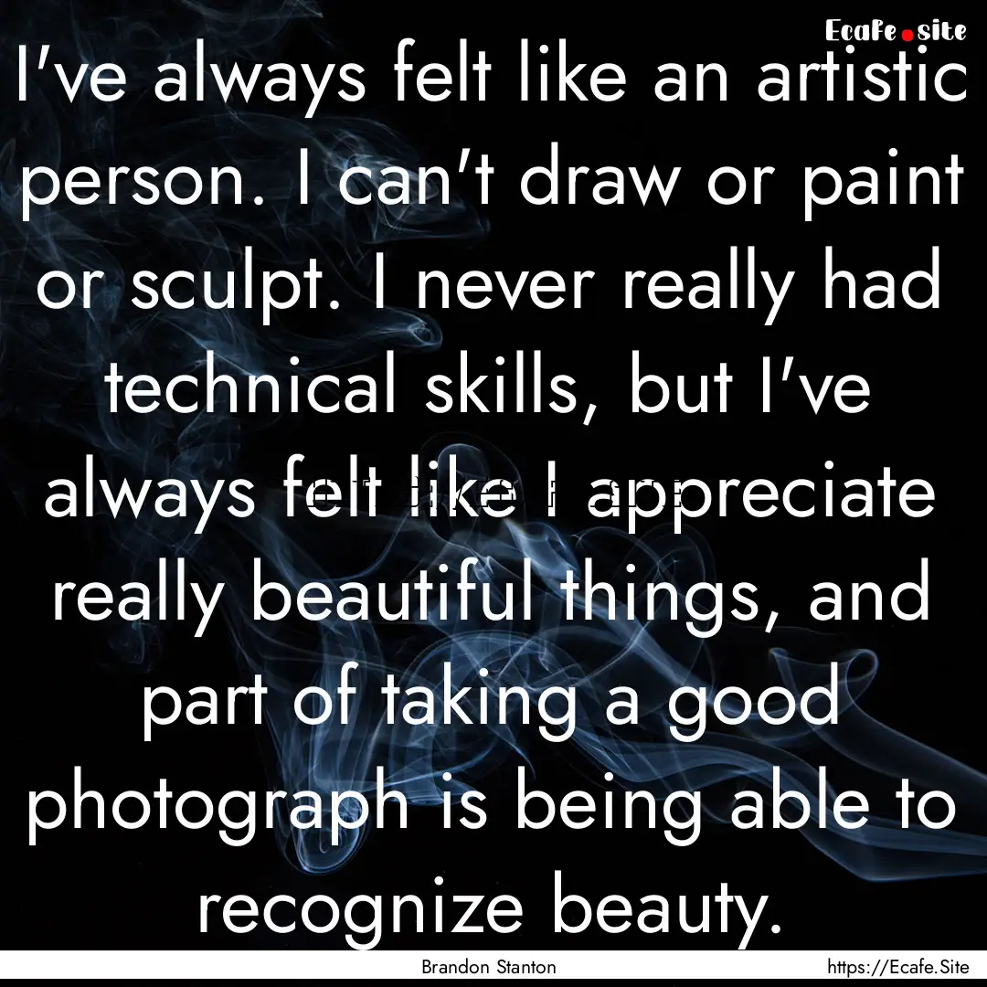 I've always felt like an artistic person..... : Quote by Brandon Stanton