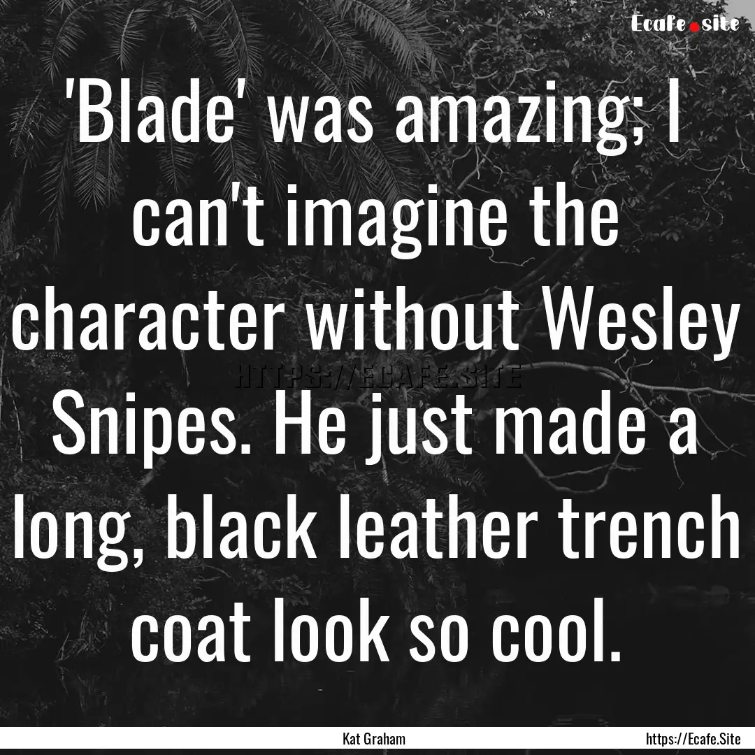 'Blade' was amazing; I can't imagine the.... : Quote by Kat Graham