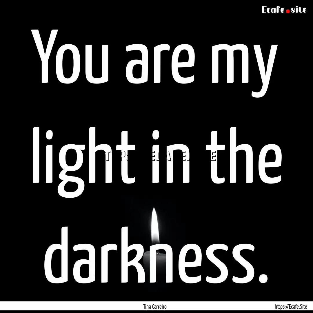 You are my light in the darkness. : Quote by Tina Carreiro