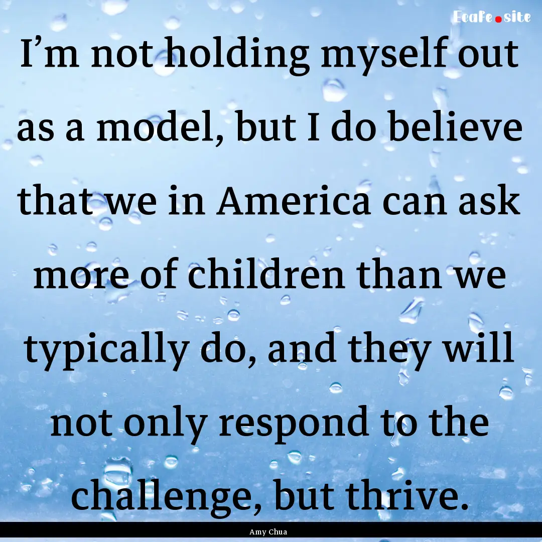 I’m not holding myself out as a model,.... : Quote by Amy Chua