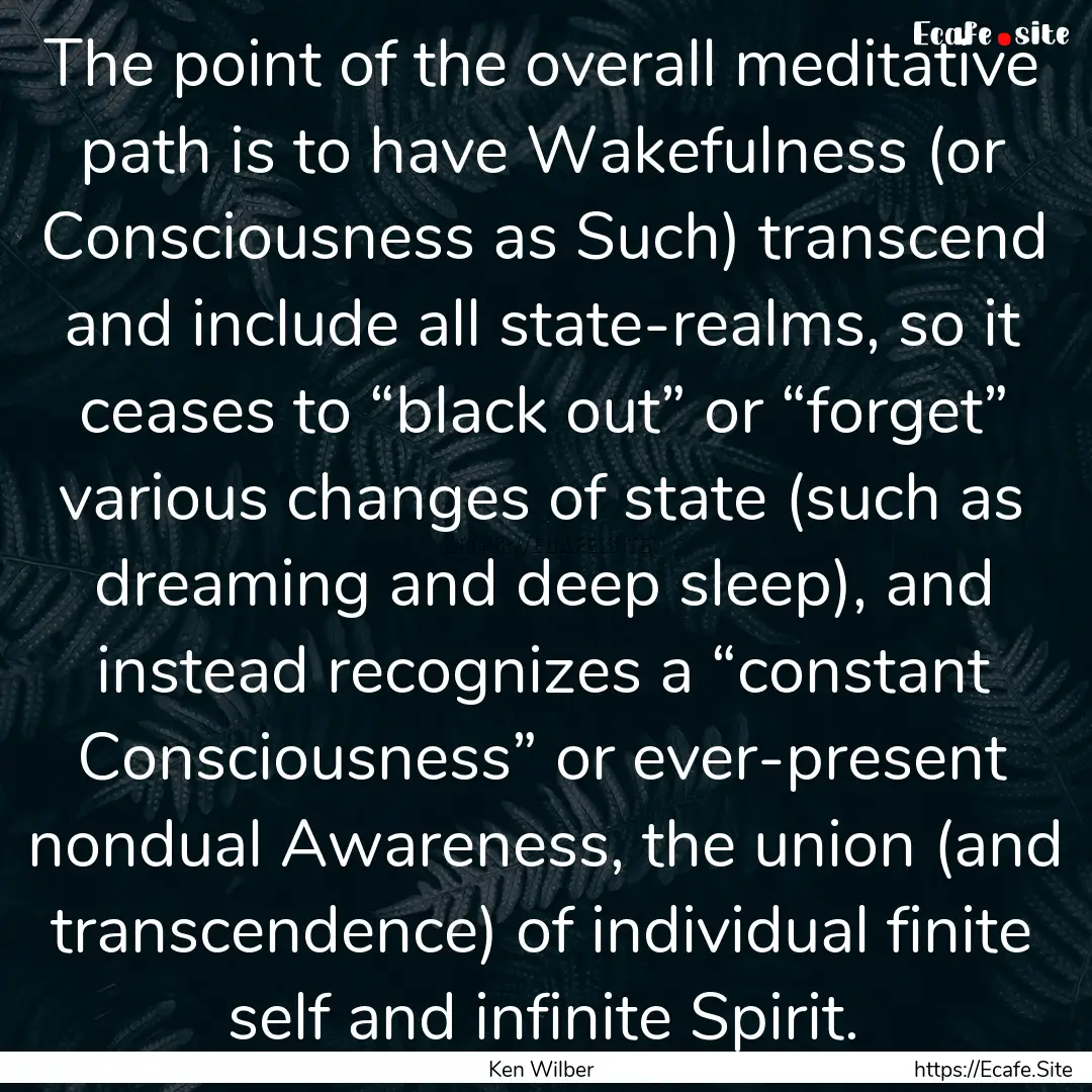 The point of the overall meditative path.... : Quote by Ken Wilber